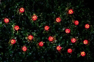 B&M 30 Insect Solar String Lights - Ladybird 1 B&M 30 Insect Solar String Lights - Ladybird