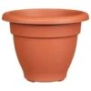 B&M Bell Pot Planter 30cm - Terracotta