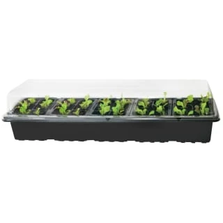 B&M 5-Tray Windowsill Greenhouse Set 2 B&M 5-Tray Windowsill Greenhouse Set - Image 2