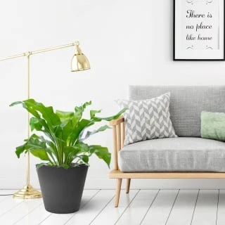 B&M Octavia Planter 38cm - Slate 2 B&M Octavia Planter 38cm - Slate - Image 2