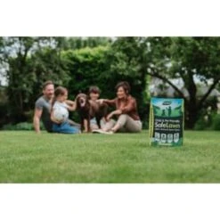 B&M Westland Safe Lawn Spreader Box 80m2 7 B&M Westland Safe Lawn Spreader Box 80m2 -B&M 384000 safe lawn spreader box 80m 4