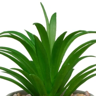 B&M Assorted Small Concrete Succulents 7 B&M Assorted Small Concrete Succulents - Image 7