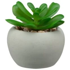 B&M Assorted Small Concrete Succulents 9 B&M Assorted Small Concrete Succulents -B&M 394713 small concrete succulent 3