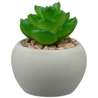 B&M Assorted Small Concrete Succulents 2 B&M Assorted Small Concrete Succulents - Image 2