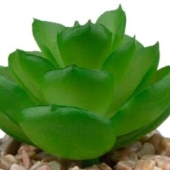 B&M Assorted Small Concrete Succulents 11 B&M Assorted Small Concrete Succulents -B&M 394713 small concrete succulent 6